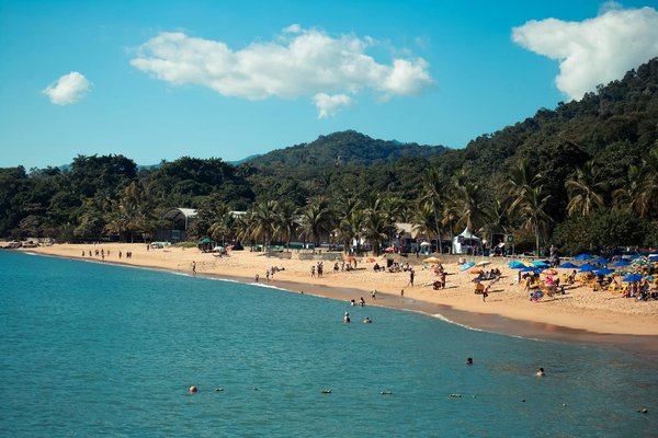 Techniques pour identifier les étoiles et les constellations en camping sans télescope.