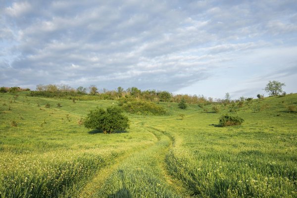 Peut-on participer à des projets de recherche citoyenne en biologie marine pendant une croisière ?