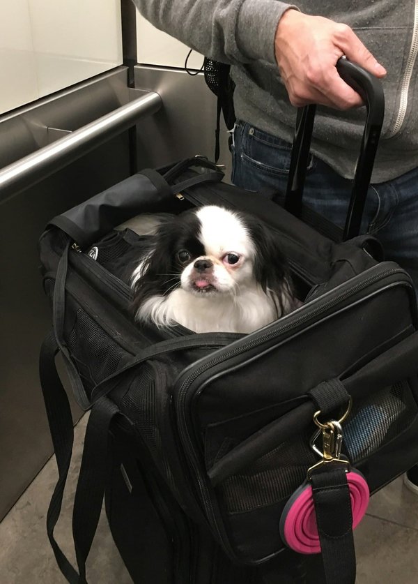 Choisir le meilleur sac à dos voyage et sport